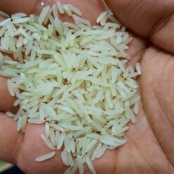 برنج فجر درجه یک